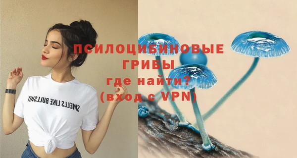 скорость Новодвинск