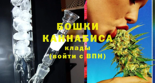 прущие грибы Няндома