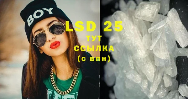 стафф Новозыбков