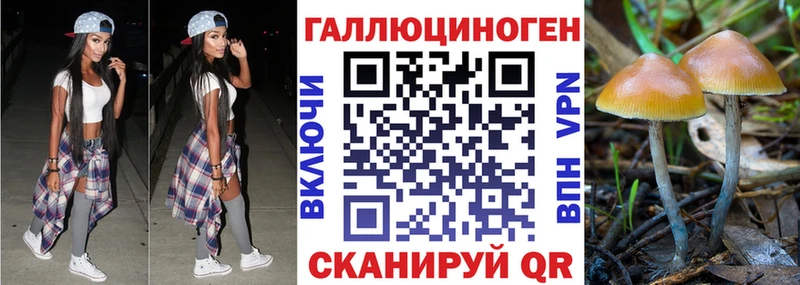 Псилоцибиновые грибы Magic Shrooms Никольское